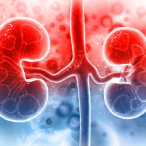 CHRONIC KIDNEY DISEASE DATASET