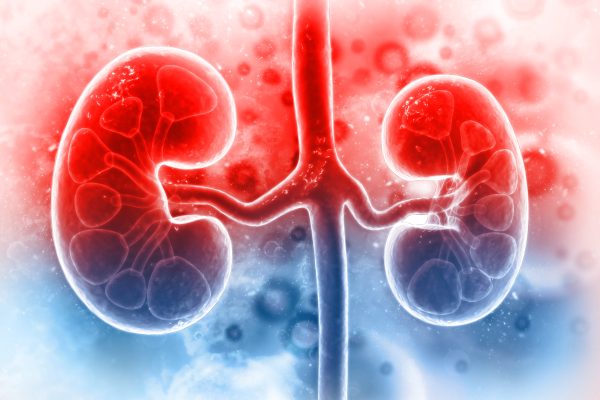 CHRONIC KIDNEY DISEASE DATASET